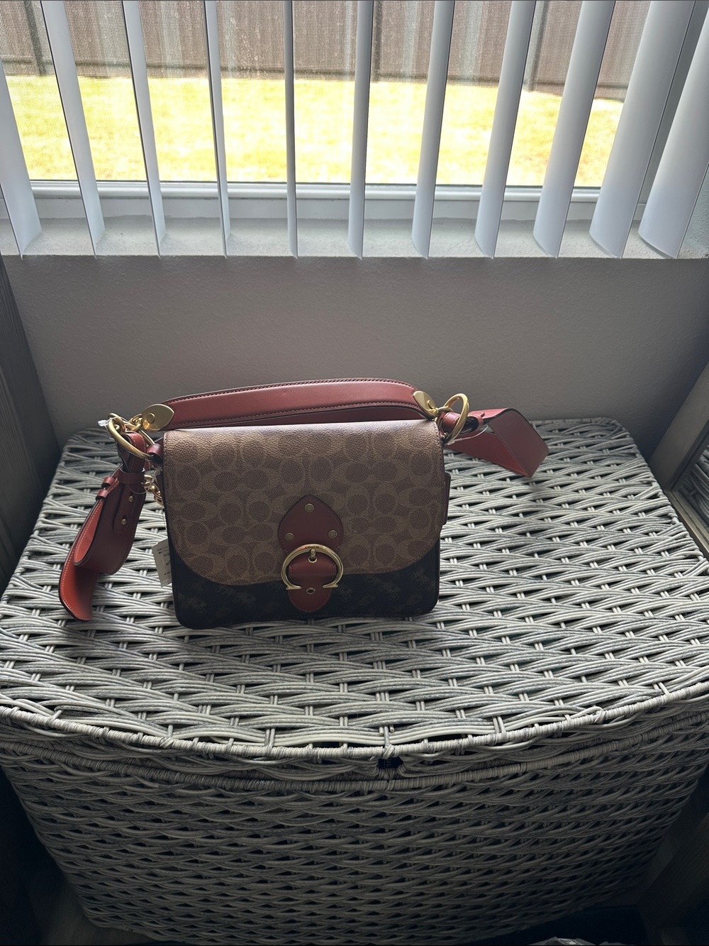 Coach Signature Crossbody Bag in Brown and Rust